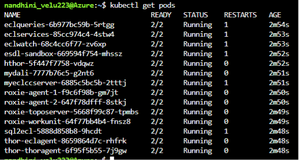 Screenshot showing an example of running pods